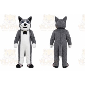 Dog Husky Mascot Costume