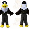 Eagle Mascot Costume Hawk _ Falcon Mascot