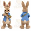 Easter Bunny Peter Rabbit Mascot Costumes