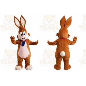 Easter Rabbit Bunny Mascot Costume