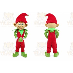 Elf Prince Boy Mascot Costume