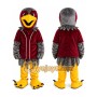 Falcon Mascot Hawk _ Eagle Mascot Costume