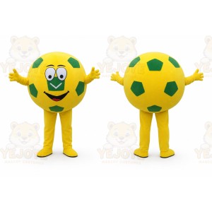 Football _ Basketball Mascot Costume
