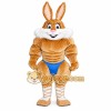 Rabbit Mascot Costume for Adults Custom Logo Party Character Suit Rabbit Mascot Costume for Adults Custom Logo Party Character Suit