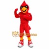 Bird Mascot Costume for Adults Custom Logo Party Character Suit