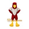 Eagle Mascot Costume for Adults Custom Logo Party Character Suit