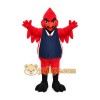 Bird Mascot Costume for Adults Custom Logo Party Character Suit