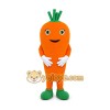 Carrot Mascot Costume for Adults Custom Logo Party Character Suit Carrot Mascot Costume for Adults Custom Logo Party Character Suit
