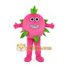 Fruit Character Mascot Costume for Adults Custom Logo Party Character Suit Fruit Character Mascot Costume for Adults Custom Logo Party Character Suit