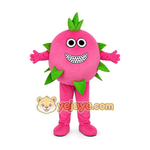 Fruit Character Mascot Costume for Adults Custom Logo Party Character Suit