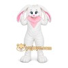 Rabbit Mascot Costume for Adults Custom Logo Party Character Suit Rabbit Mascot Costume for Adults Custom Logo Party Character Suit