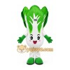 Vegetable Mascot Costume for Adults Custom Logo Party Character Suit Vegetable Mascot Costume for Adults Custom Logo Party Character Suit