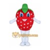 Fruit Mascot Costume for Adults Custom Logo Party Character Suit Fruit Mascot Costume for Adults Custom Logo Party Character Suit