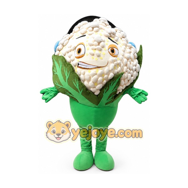 Vegetable Mascot Costume for Adults Custom Logo Party Character Suit