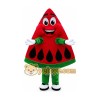 Watermelon Mascot Costume for Adults Custom Logo Party Character Suit Watermelon Mascot Costume for Adults Custom Logo Party Character Suit