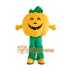 Pumpkin Mascot Costume for Adults Custom Logo Party Character Suit Pumpkin Mascot Costume for Adults Custom Logo Party Character Suit