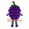 Grape Mascot Costume for Adults Custom Logo Party Character Suit