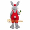 Rabbit Mascot Costume for Adults Custom Logo Party Character Suit