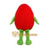 Strawberry Mascot Costume for Adults Custom Logo Party Character Suit Strawberry Mascot Costume for Adults Custom Logo Party Character Suit