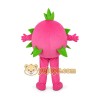 Fruit Character Mascot Costume for Adults Custom Logo Party Character Suit Fruit Character Mascot Costume for Adults Custom Logo Party Character Suit