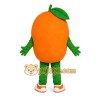 Orange Mascot Costume for Adults Custom Logo Party Character Suit