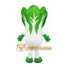Vegetable Mascot Costume for Adults Custom Logo Party Character Suit Vegetable Mascot Costume for Adults Custom Logo Party Character Suit