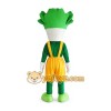 Vegetable Mascot Costume for Adults Custom Logo Party Character Suit Vegetable Mascot Costume for Adults Custom Logo Party Character Suit