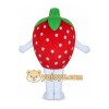 Fruit Mascot Costume for Adults Custom Logo Party Character Suit Fruit Mascot Costume for Adults Custom Logo Party Character Suit