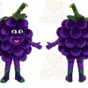 Grape Mascot Costume for Adults Custom Logo Party Character Suit