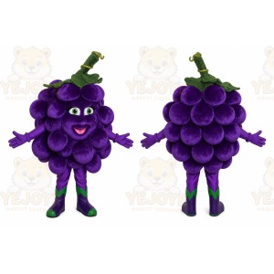 Grape Mascot Costume for Adults Custom Logo Party Character Suit