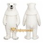 Bear Mascot Costume for Adults Custom Logo Party Character Suit