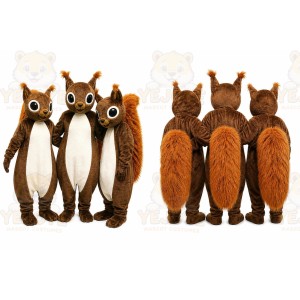 Squirrel Mascot Costume for Adults Custom Logo Party Character Suit