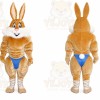 Rabbit Mascot Costume for Adults Custom Logo Party Character Suit