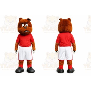 Bear Mascot Costume for Adults Custom Logo Party Character Suit