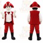 Pirate Mascot Costume for Adults Custom Logo Party Character Suit