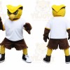 Owl Mascot Costume for Adults Custom Logo Party Character Suit