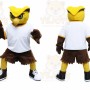 Owl Mascot Costume for Adults Custom Logo Party Character Suit