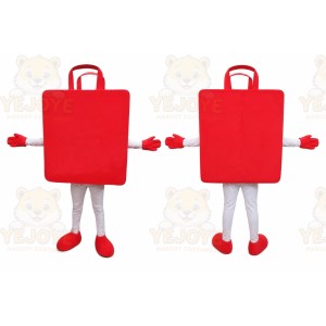 House Mascot Costume for Adults Custom Logo Party Character Suit