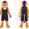 Lion Mascot Costume for Adults Custom Logo Party Character Suit