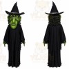 Witch Mascot Costume for Adults Custom Logo Party Character Suit