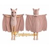 Bat Mascot Costume for Adults Custom Logo Party Character Suit Bat Mascot Costume for Adults Custom Logo Party Character Suit