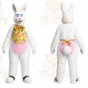 Rabbit Mascot Costume for Adults Custom Logo Party Character Suit
