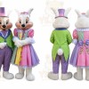 Rabbit Mascot Costume for Adults Custom Logo Party Character Suit