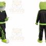 Frog Mascot Costume for Adults Custom Logo Party Character Suit