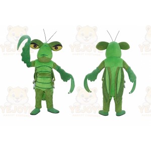 Grasshopper Mascot Costume for Adults Custom Logo Party Character Suit