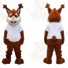 Squirrel Mascot Costume for Adults Custom Logo Party Character Suit