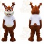 Squirrel Mascot Costume for Adults Custom Logo Party Character Suit