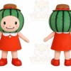 Watermelon Character Mascot Costume for Adults Custom Logo Party Character Suit