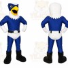 Eagle Mascot Costume for Adults Custom Logo Party Character Suit