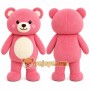 Bear Mascot Costume for Adults Custom Logo Party Character Suit